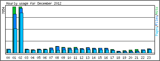 Hourly usage