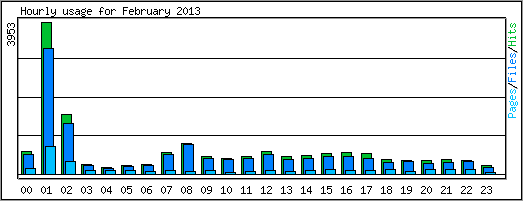 Hourly usage