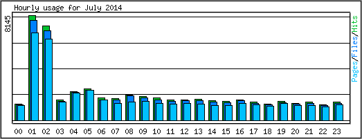 Hourly usage