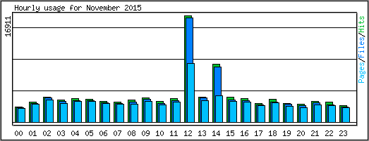 Hourly usage