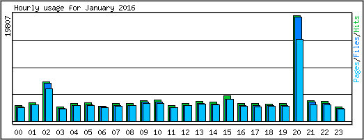 Hourly usage