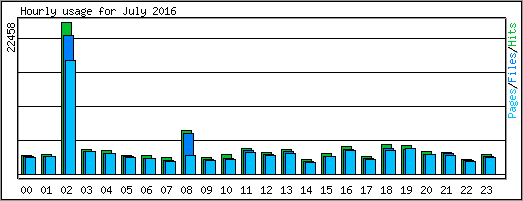 Hourly usage