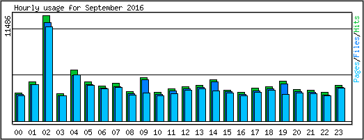 Hourly usage