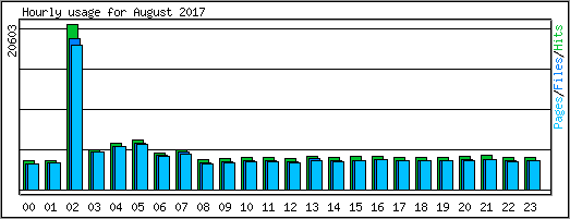 Hourly usage