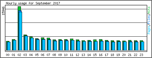 Hourly usage