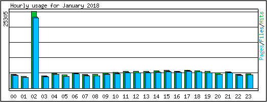 Hourly usage