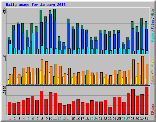 Daily usage for January 2013