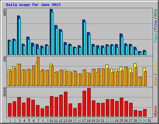 Daily usage for June 2013