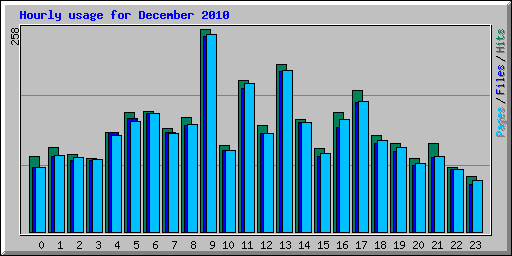 Hourly usage for December 2010