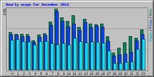 Hourly usage for December 2012