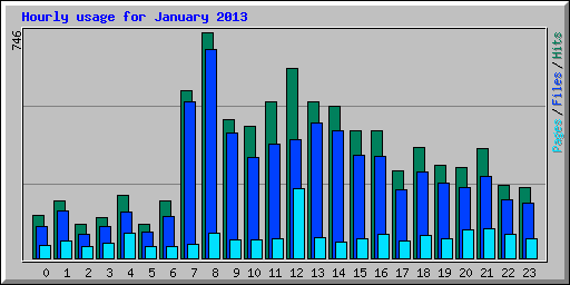 Hourly usage for January 2013