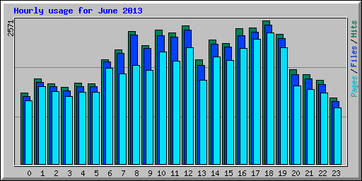 Hourly usage for June 2013