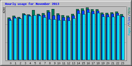 Hourly usage for November 2013