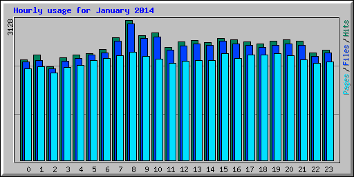 Hourly usage for January 2014