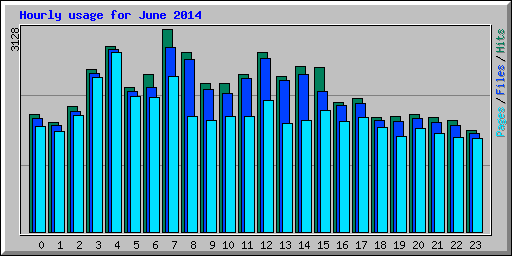 Hourly usage for June 2014