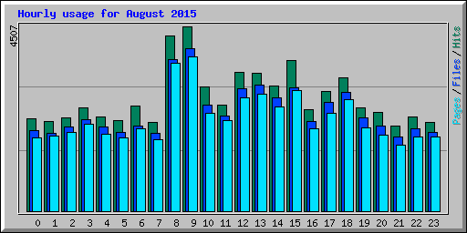 Hourly usage for August 2015