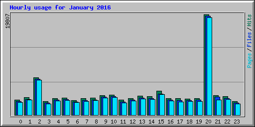 Hourly usage for January 2016