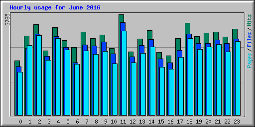 Hourly usage for June 2016