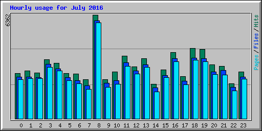 Hourly usage for July 2016