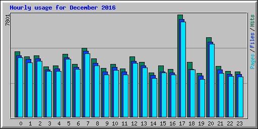 Hourly usage for December 2016