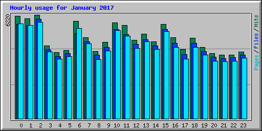 Hourly usage for January 2017