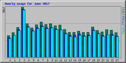 Hourly usage for June 2017